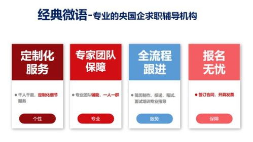 央國(guó)企攜手大學(xué)生，專業(yè)信息咨詢服務(wù)助力高質(zhì)量就業(yè)